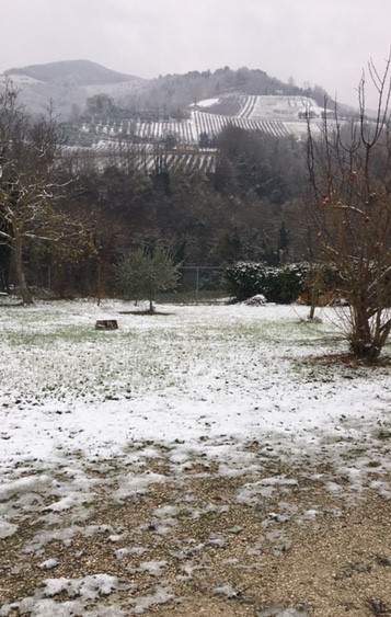 Panorama innevato